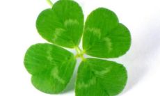 试试这个：善意友谊的美妙表达——一些能令人动容的文艺句子