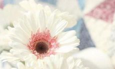 浅谈那些令人莫名心痛的句子表达方式