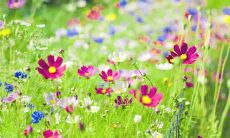 怀念三位好友间深厚情谊的经典台词