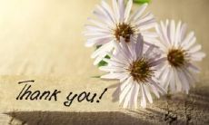 表达感恩心态的生活句子，让我们从心灵深处感受感恩之美