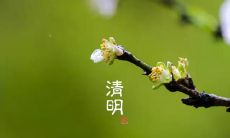 清明节回家扫墓，缅怀故人的感言与感悟分享