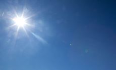 抖音热门的流行口号、经典短句和幽默说说，赢得了大家的喜爱和关注！