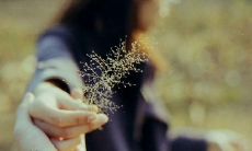 赞美家人的无尽亲情，是一种强大的情感纽带，让我们在生活中感受到的温馨、关爱与支持！