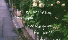 一些充满正能量的英文句子，能够让你积极面对生活的挑战！