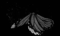 无法接受亲人辜负自己的感受，挥之不去的沮丧和失望