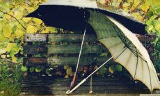 不断努力才能超越自我，值得铭记的励志哲理句子