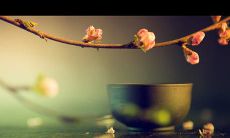 如何培养看淡的心态：掌握消除烦恼的技巧，学会从更宽阔的视角看待问题，拥抱变化，追求简单、自由与快乐生活