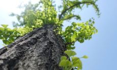 祝福2023兔年开门红，开工大吉! 精选文案分享！