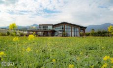 2022年北京冬奥会文案80句，深度探索北京作为首个举办夏季和冬季奥运会两次的城市的历史意义与荣耀，展现中华文化传承与创新的力量，推动全球冰雪运动发展，为世界奉献一场盛大的冬季运动盛宴