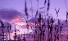 探讨2022年开学季的心情与感受——琐琐碎碎的句子聚集成的留言墙