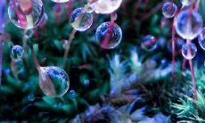 年新学期开学朋友圈祝福分享：迎接新生活，共同成长、探索，开创未来！