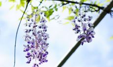 精选2022开学经典句子，激励人心引领未来，助您迈向成功之路！