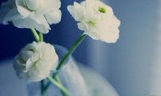 这些在抖音上广为传播的温馨友情句子，让人感动心灵，引发共鸣！