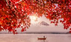 温馨唯美的立秋短句，让你在朋友圈分享秋天的美好和感悟