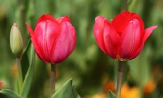 一篇充满五一节开心气氛的饱含欢笑、活力四射的句子狂欢！