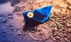 深刻而感性地诠释被情感伤痛撕裂心灵的表达句子