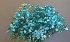 恋爱语句的极简风格：短句撩人