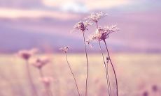 2022年最热门的座右铭合集：一百一十四句精选！