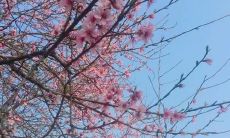 如何说一句让对方开心的话：快速提高情绪的技巧和策略