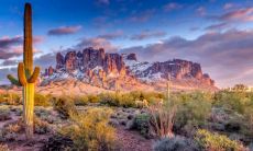 在全球疫情肆虐的时期，你是否经历过哪些让人烦恼的困境？来聊聊吧！