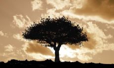 心情叹息， 黯然失落：对亲人的失望引发的深刻反思与情感抒发