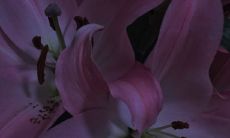 分享，让TA在这个寒冷的季节里感受温暖与爱意