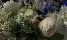 遗憾而深刻的心酸语句：那些放弃了的悲痛之词