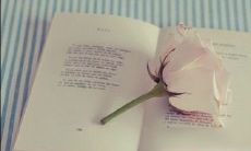 - 探讨生活中的哲学智慧：犀利而深刻的言辞