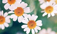 探讨亲情无价之价值，以幽默俏皮的言语为媒介透析亲情的重要性