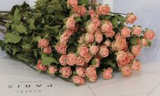 一些描写当人们感到开心时脸上表情的句子