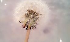 今年11月的问候短信：祝您幸福安康、事业蒸蒸日上、家庭小确幸、心情美满如意，并感慨时间流逝匆忙，提醒珍惜眼前人、热爱生命、追求梦想！