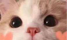 缘起情缘：撩动男心的暖心话语大集合