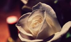 一些既精美又充满爱意的祝福句子，希望能够让你的爱人开心幸福