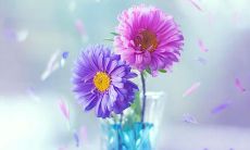 被亲情所温暖，平安和幸福得以延续的感人文字