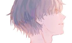 经典、深刻、感人的饱含友情和亲情的美妙句子大全！