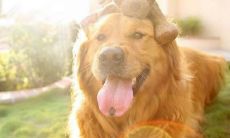 一些温馨、甜蜜并能让女孩心情愉悦的句子推荐