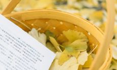 一些充满开心正能量的说说句子，让你笑口常开，心情美好无比