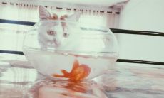 一系列表达人类极度愉悦之情的英语句子