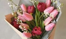 《通过表达感恩之情向父母表达我们对他们的爱意和感激之情》