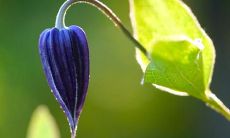 一些的标题：感怀亲情的伤感句子，诉说难舍的思念之情