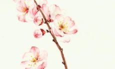 一些具有温度的关于友情和友爱的词句，值得收藏和传递！