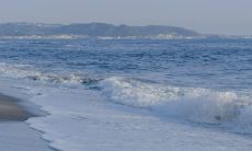 无限分享的创意文案宝典——让创造力飞翔的完美指南