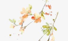 一大堆感谢友情的句子，汇聚我们珍爱和感恩的友情之光