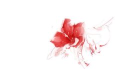 唯美的韩语友情句子，让你感受最纯粹的情谊之源