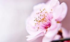 探究——名著中关于友情的经典句子及其哲学思考