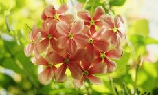 一句贯穿心灵的友情之言，深深扎根于骨子深处的爱