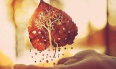 一百句让你爱上牙齿的开心句子