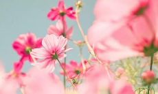 经典赞叹不绝的上万人分享的说说之精华汇编