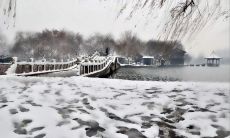 探索江南冬季之美：一组妙语佳句描绘江南季节的优雅魅力