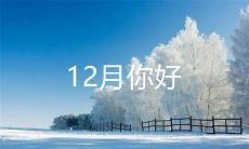 分享一下你在十二月里的美好心情：展望新年、迎接温馨佳节的喜悦感受